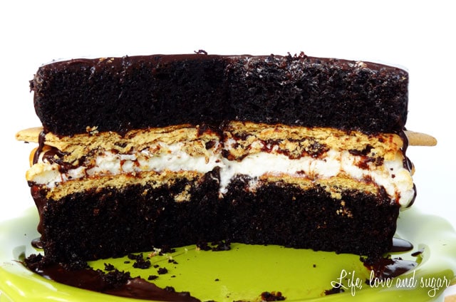 Smores Chocolate Cake - Life Love and Sugar