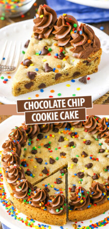 Chocolate Chip Cookie Cake with Chocolate Frosting & Sprinkles