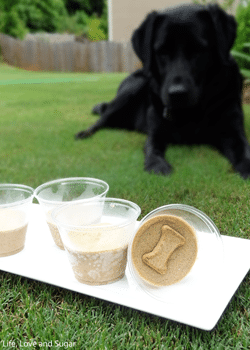 dairy free frozen dog treats