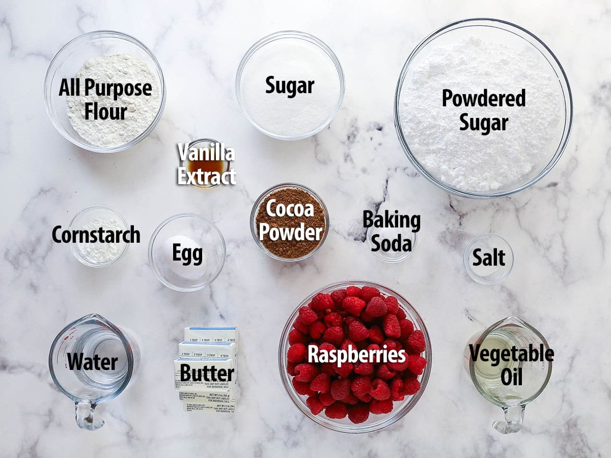 Overhead view of ingredients needed to make raspberry chocolate cupcakes