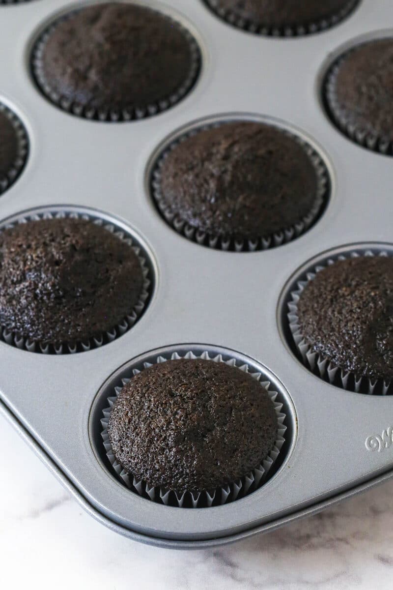 Chocolate cupcakes in the pan