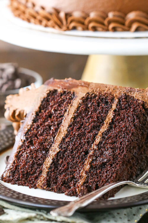 The World's Best Chocolate Cake Recipe 