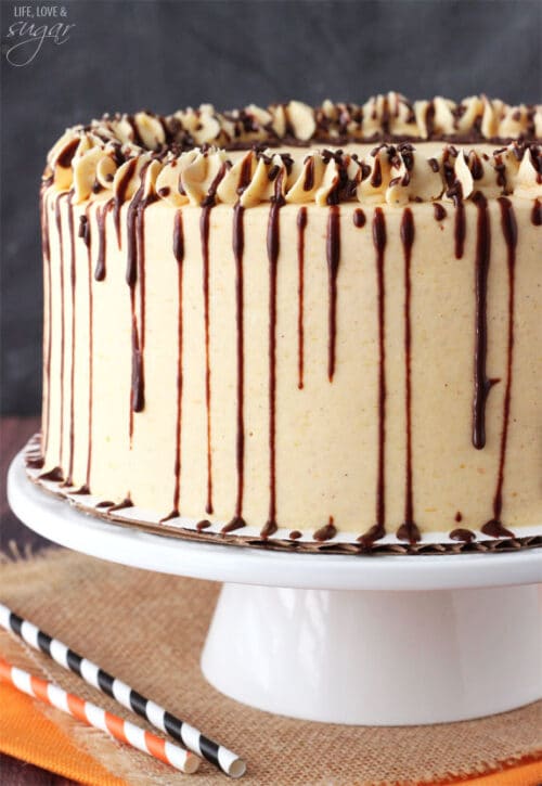 Chocolate Pumpkin Cheesecake Cake | The Best Pumpkin Cake Recipe