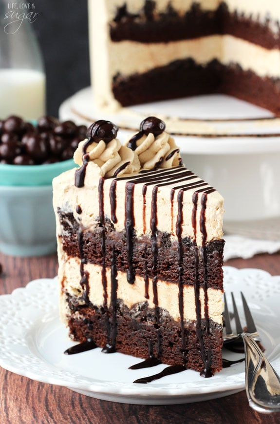 Chocolate-Coffee Bean Ice Cream Cake Recipe: How to Make It