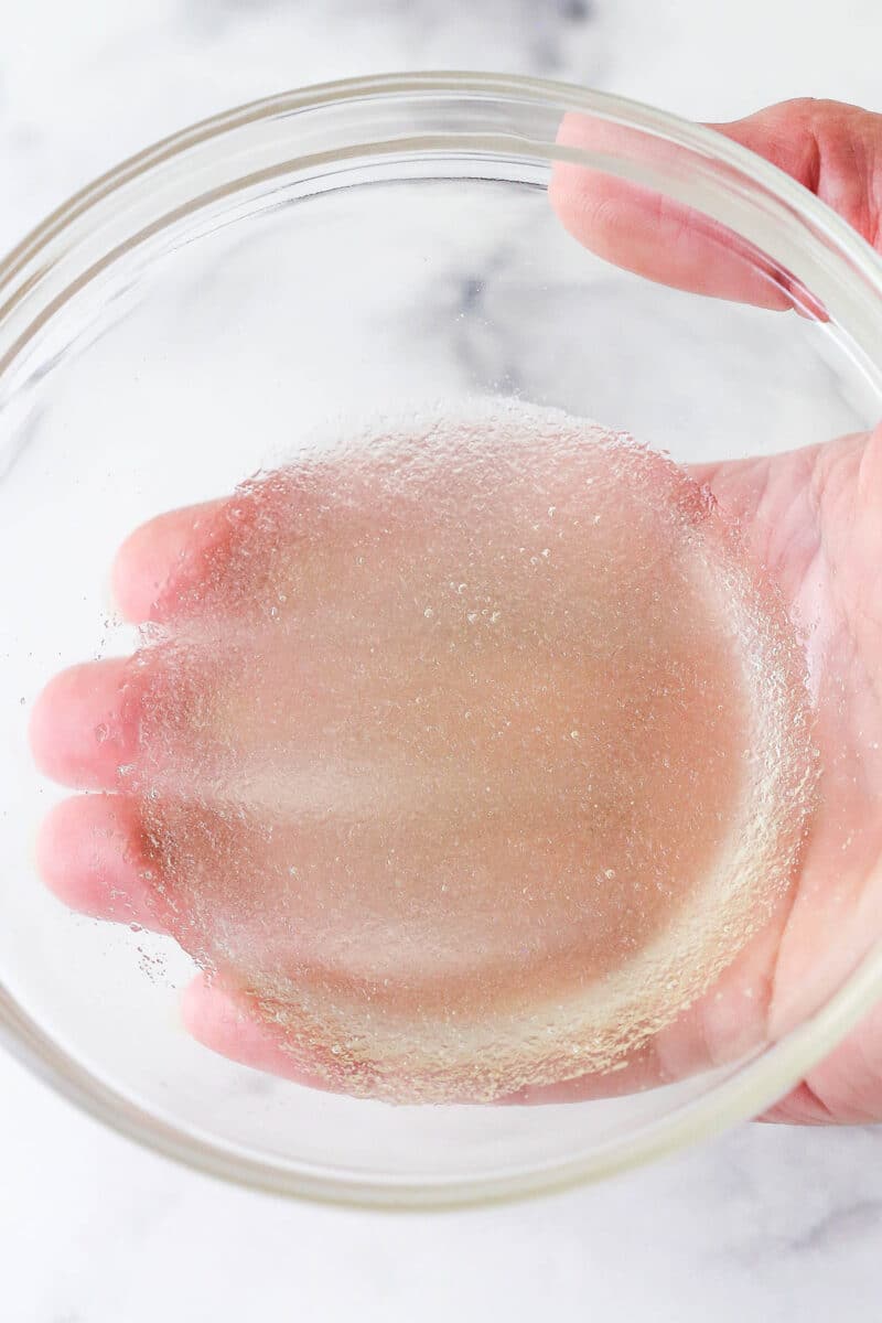 A hand holding a bowl with gelatin on chamapgne