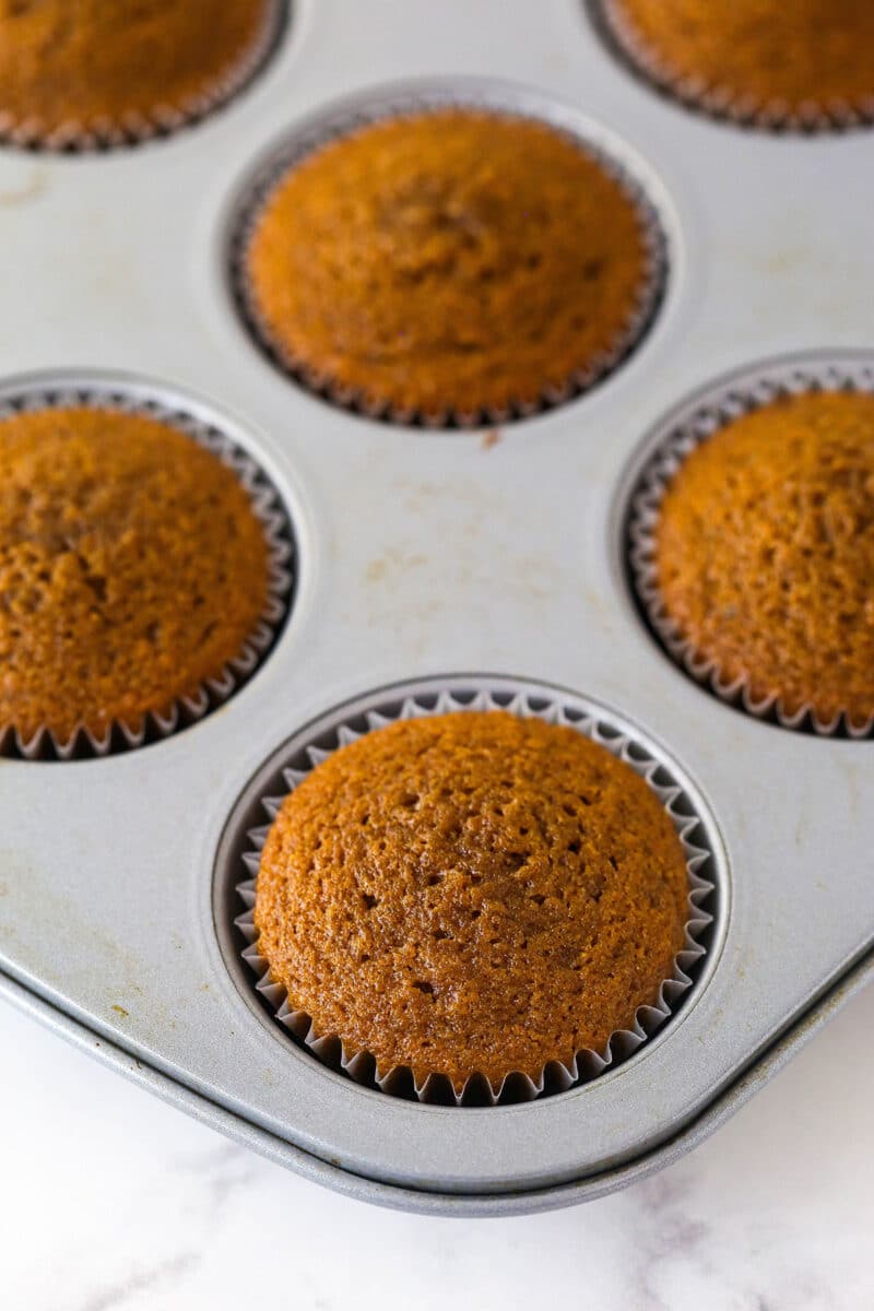 Baked gingerbread cupcakes