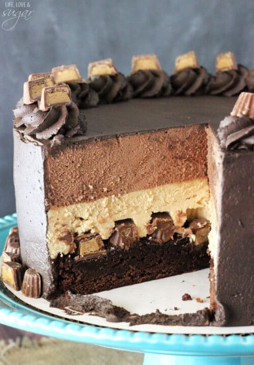 Peanut Butter Chocolate Mousse Cake - Life Love and Sugar