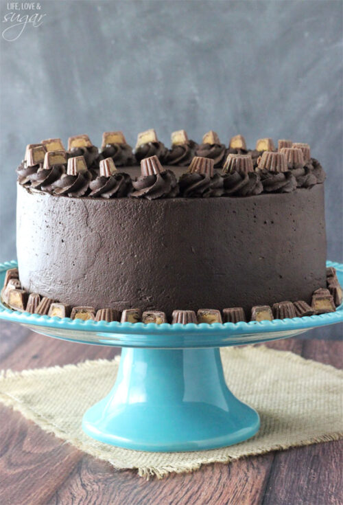 Peanut Butter Chocolate Mousse Cake - Life Love and Sugar