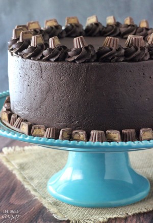 Peanut Butter Chocolate Mousse Cake - Life Love and Sugar