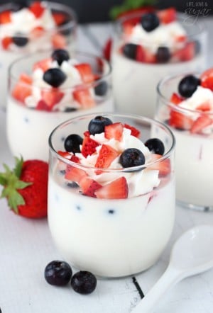 Panna Cotta with Fresh Berries | Easy No Bake Dessert Recipe