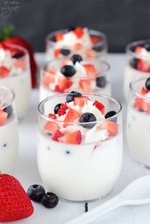 Panna Cotta with Fresh Berries | Easy No Bake Dessert Recipe