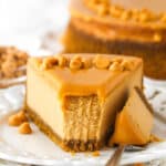 A butterscotch cheesecake with a bite on a fork