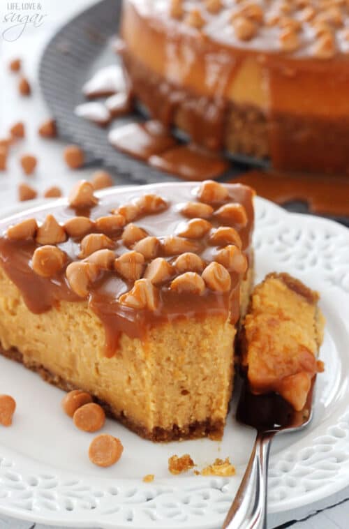 Loaded Butterscotch Cheesecake | Best Cheesecake Recipe