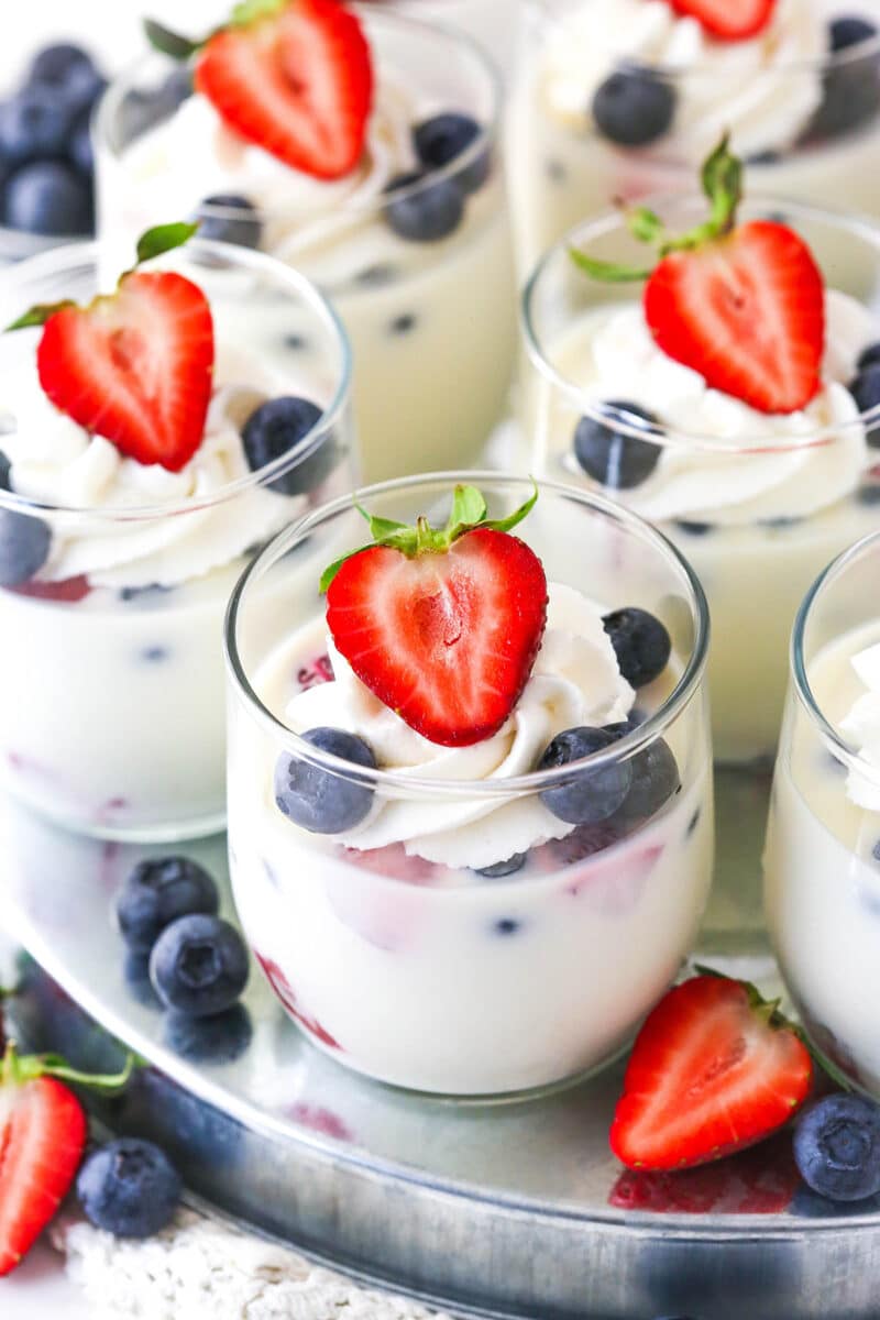 Panna Cotta with Fresh Berries | Easy No Bake Dessert Recipe