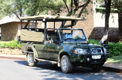 Safari Diaries | My Experience Touring a South African Safari