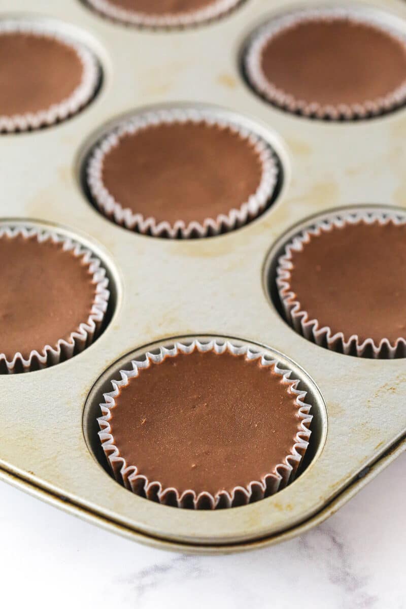 baked mini cheesecakes in the cupcake pan