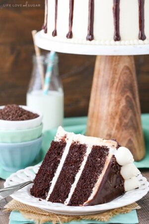 Baileys Chocolate Layer Cake | Moist Chocolate Cake + Baileys Frosting