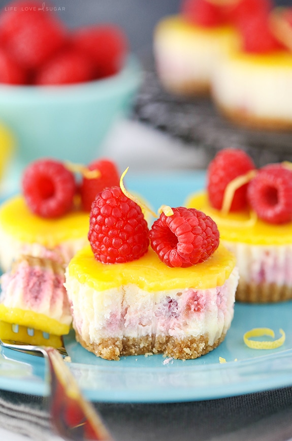 Mini Lemon Raspberry Cheesecakes - Life Love and Sugar