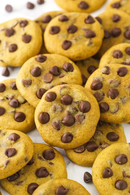 Pumpkin Chocolate Chip Cookies | Life Love & Sugar