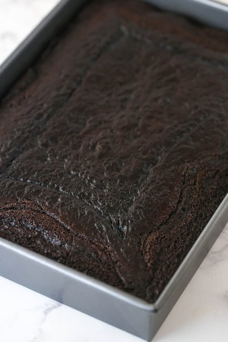 baked cake after coming out of the oven