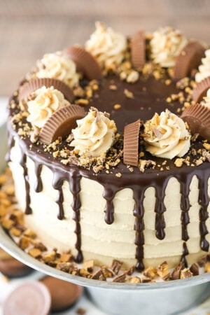 Peanut Butter Chocolate Layer Cake with Reese's Peanut Butter Cups!