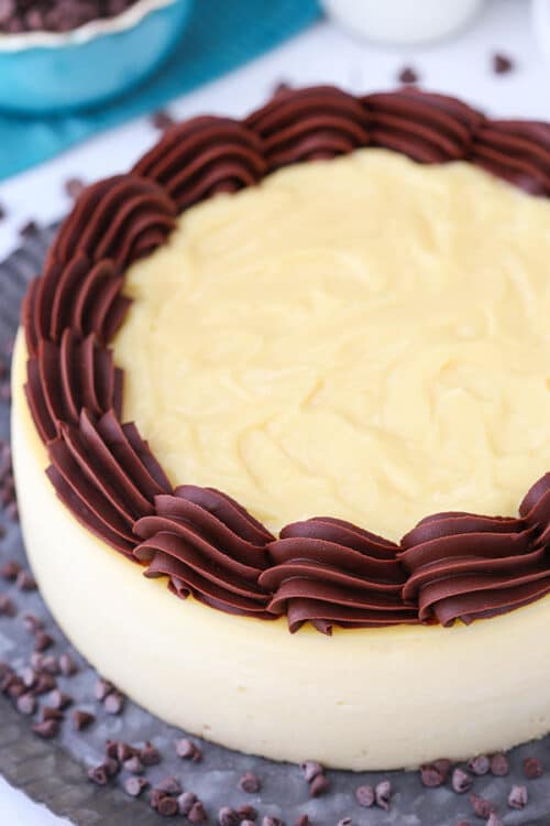Boston Cream Pie Cheesecake - Life Love and Sugar