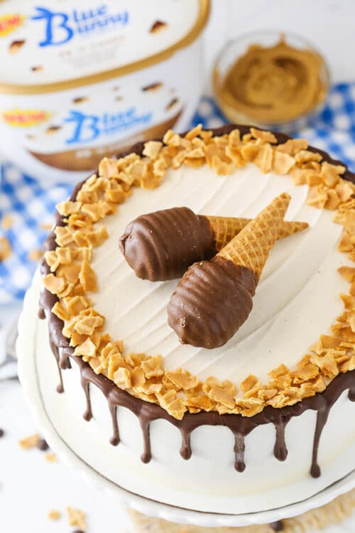 Peanut Butter Chocolate Ice Cream Cone Cake - Life Love and Sugar