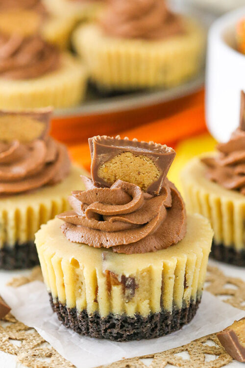 Best Mini Reese's Peanut Butter Cheesecakes | Easy Cheesecake Recipe