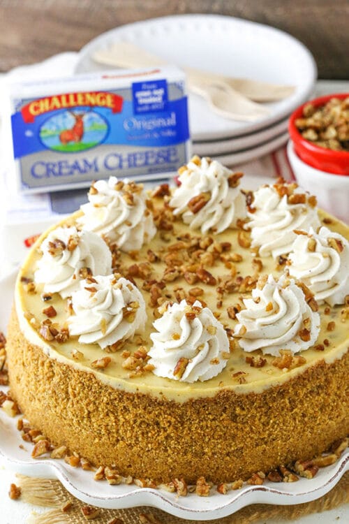 Browned Butter Pecan Cheesecake - Life Love And Sugar