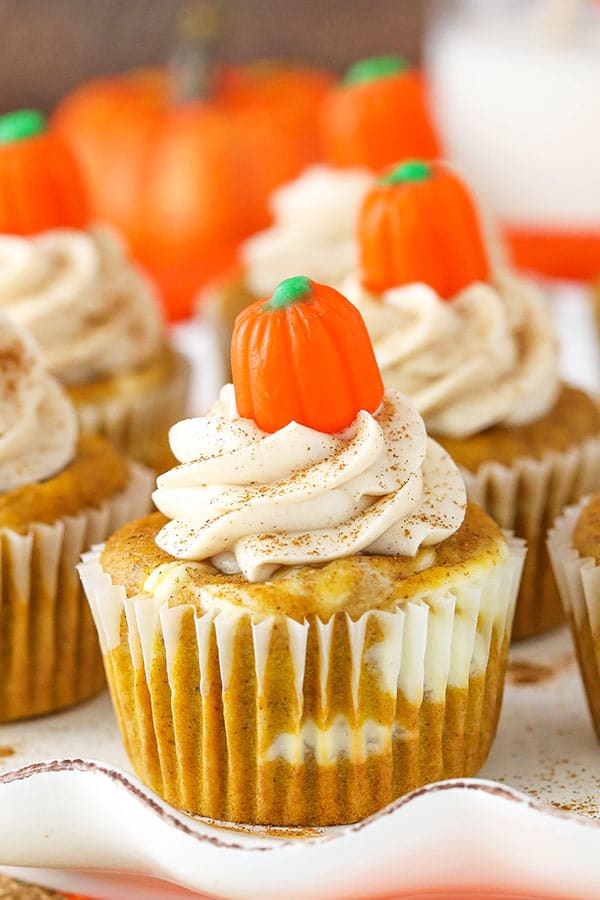 Pumpkin Cheesecake Swirl Cupcakes - Life Love and Sugar