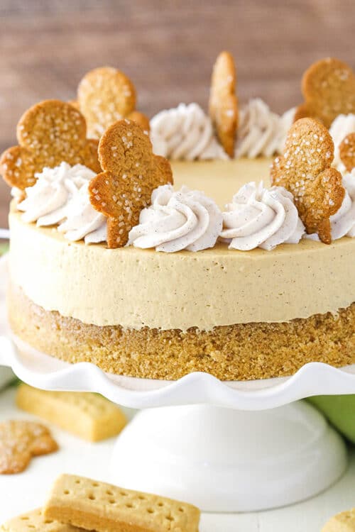 Gingerbread Cheesecake Recipe with Molasses Mousse Topping!