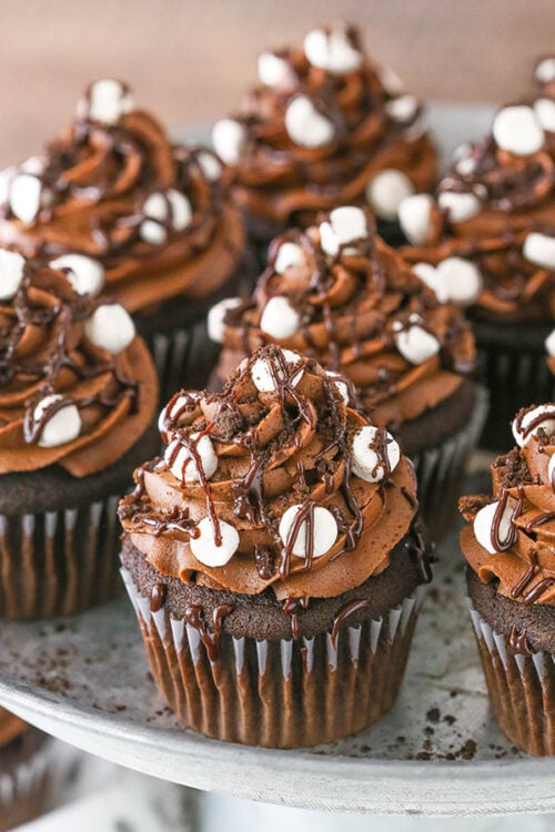 Mississippi Mud Cupcakes 