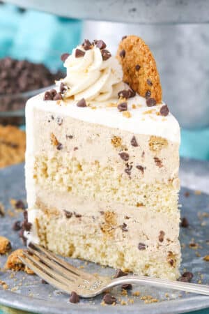 Oatmeal Cookie Ice Cream Cake | Life Love and Sugar