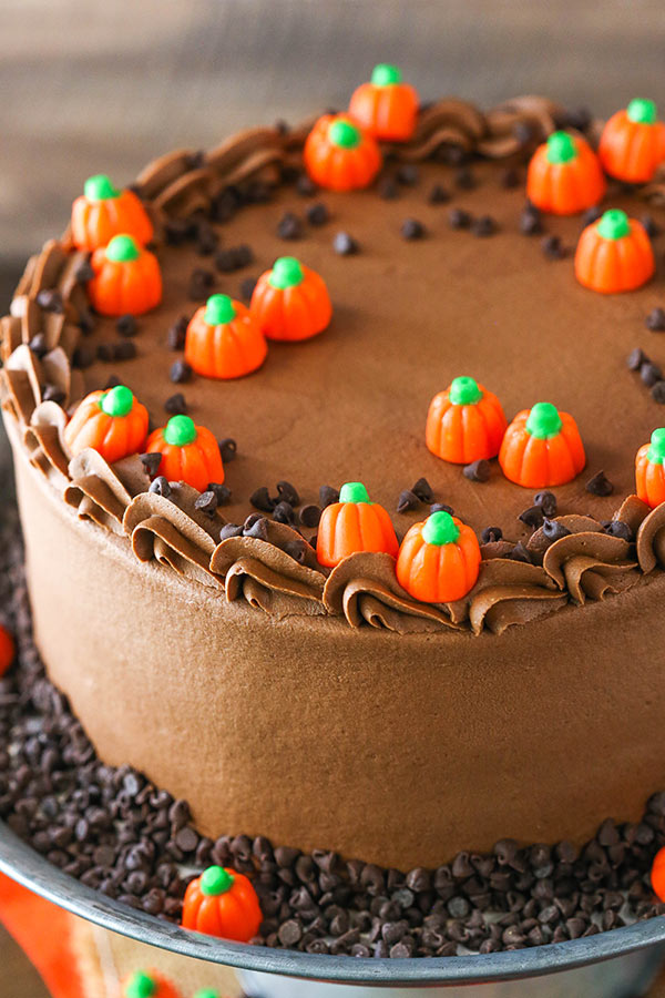 Pumpkin Chocolate Chip Layer Cake - Life Love and Sugar