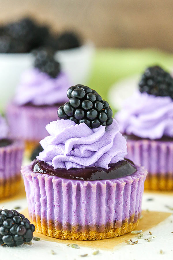 close up of blackberry lavender cheesecake