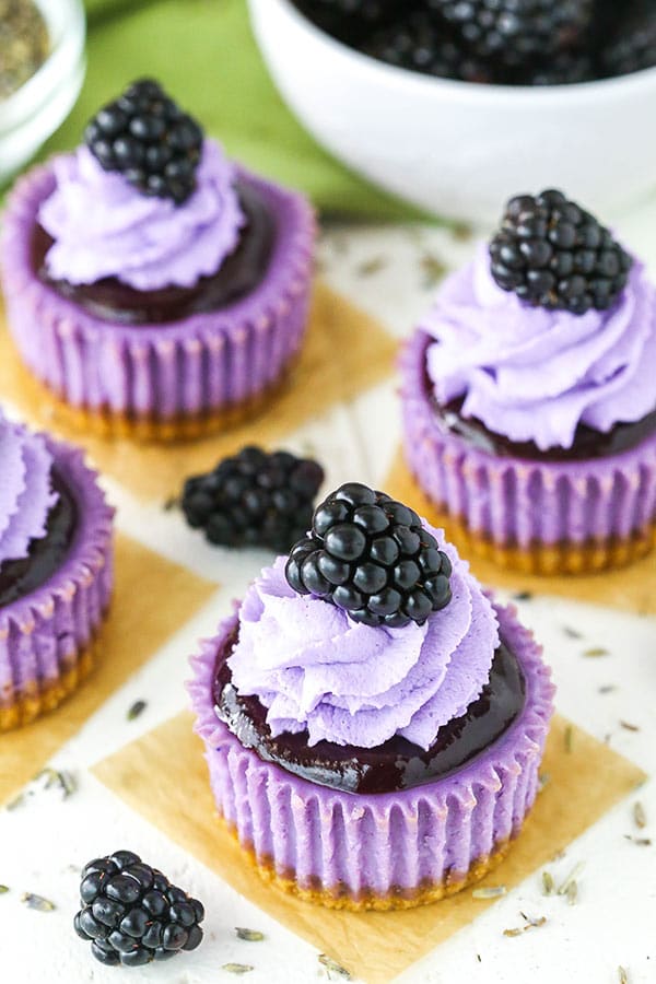 Mini Blackberry Lavender Cheesecakes Best Mini Cheesecakes Recipe