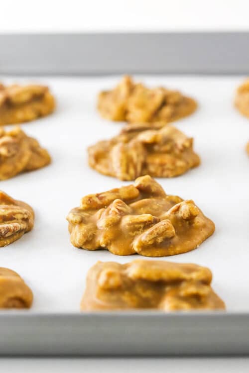 The BEST Southern Praline Pecans Recipe | Life, Love and Sugar