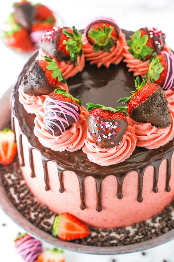 Chocolate Dipped Strawberry Cake Home Design Ideas