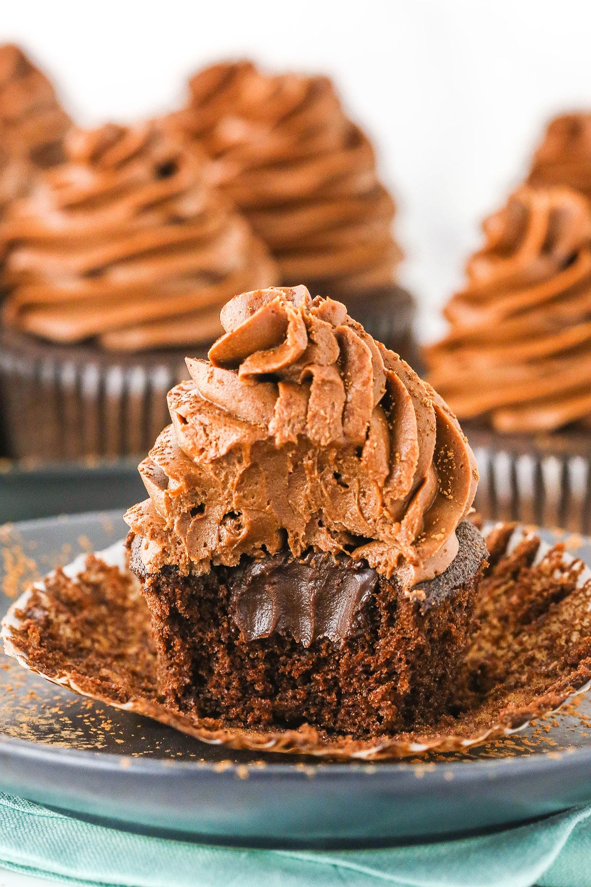 https://www.lifeloveandsugar.com/wp-content/uploads/2020/09/Chocolate-Cupcakes-with-Chocolate-Ganache-Filling4E.jpg