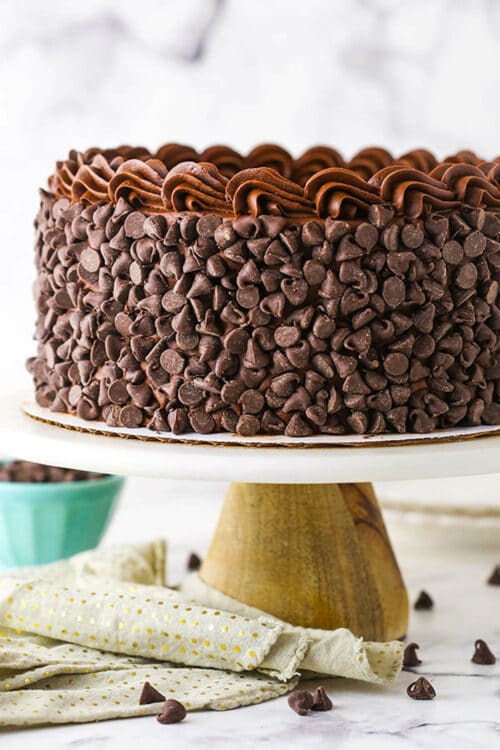 Best Chocolate Cheesecake Cake | Copycat Cheesecake Factory Recipe