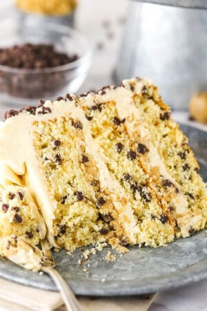 Easy Chocolate Chip Cookie Dough Cake | Life, Love and Sugar