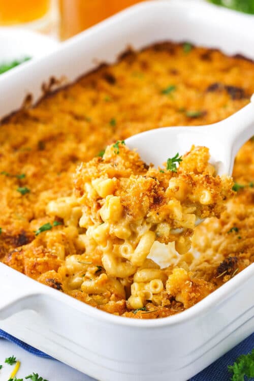 Smokey Beer Macaroni And Cheese - Life Love And Sugar