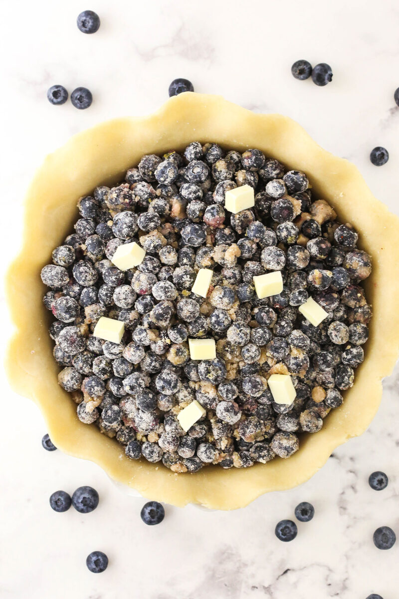 Easy Blueberry Pie | Life Love & Sugar