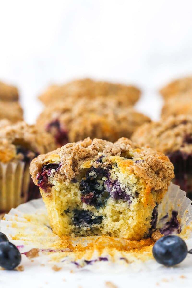 Blueberry Muffins with Cinnamon Streusel | Life Love & Sugar