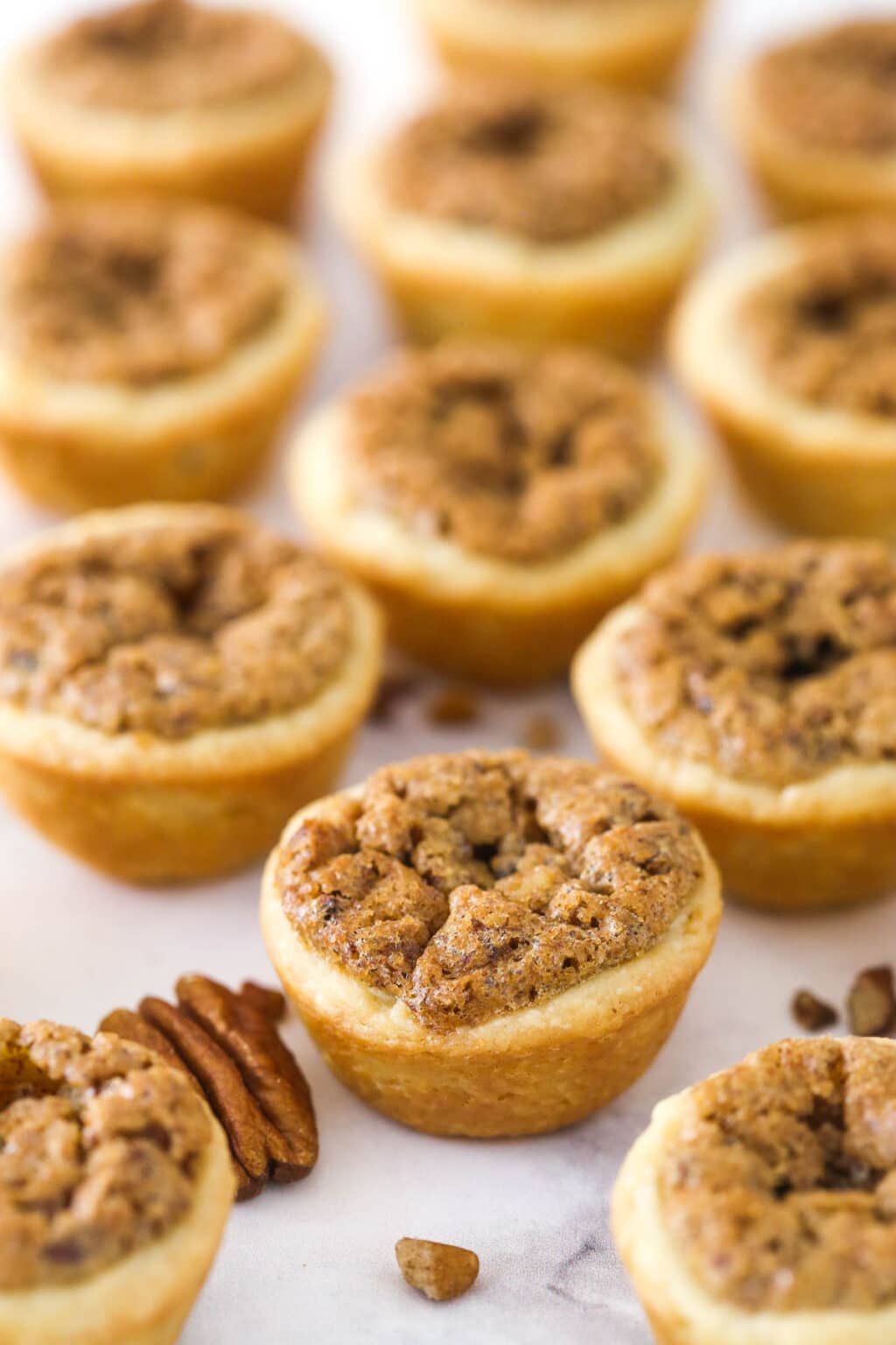 Easy Christmas Pecan Tassies | Life Love and Sugar