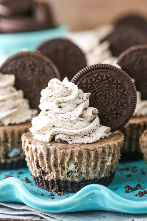 No Bake Mini Oreo Cheesecakes | Life, Love & Sugar