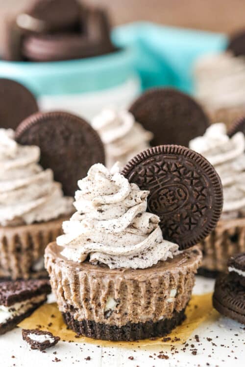 No Bake Mini Oreo Cheesecakes | Life, Love & Sugar