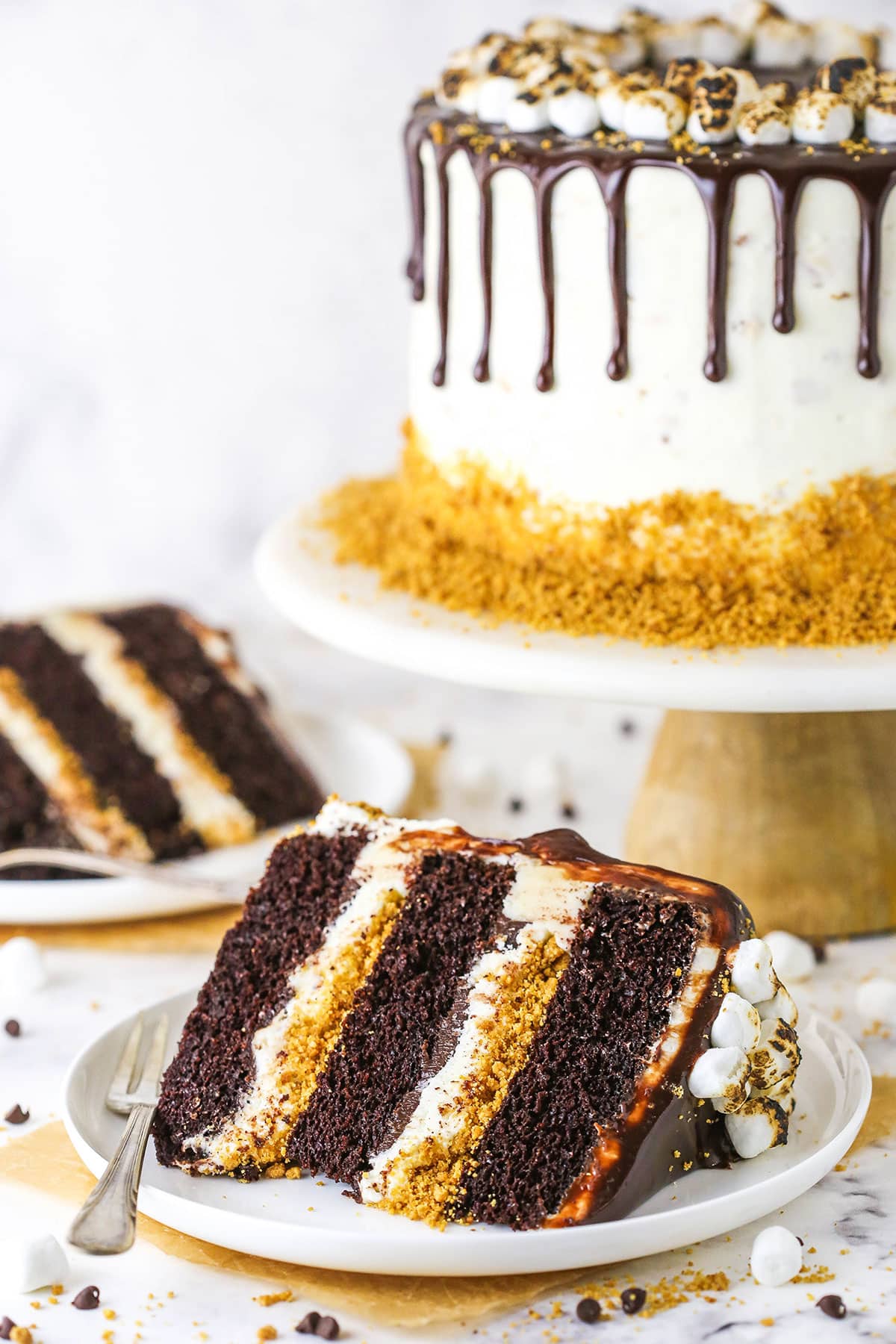 Amazing S'mores Cake | S'more Stuffed Chocolate Cake!