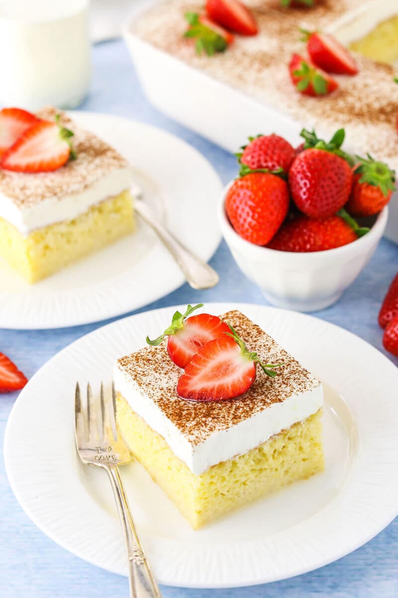 Easy Tres Leches Cake Recipe | Life, Love and Sugar