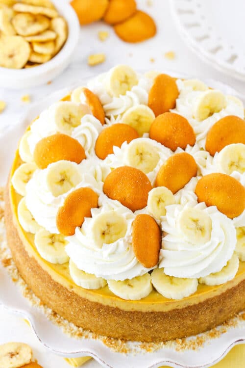 Creamy Banana Pudding Cheesecake | Life, Love and Sugar